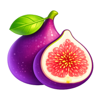 Fig
