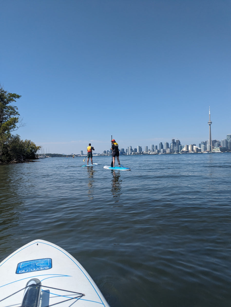 6 Years in Toronto